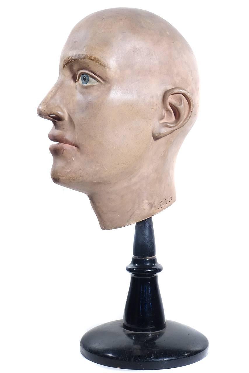 20th Century 1900 Anatomical Half Head Model