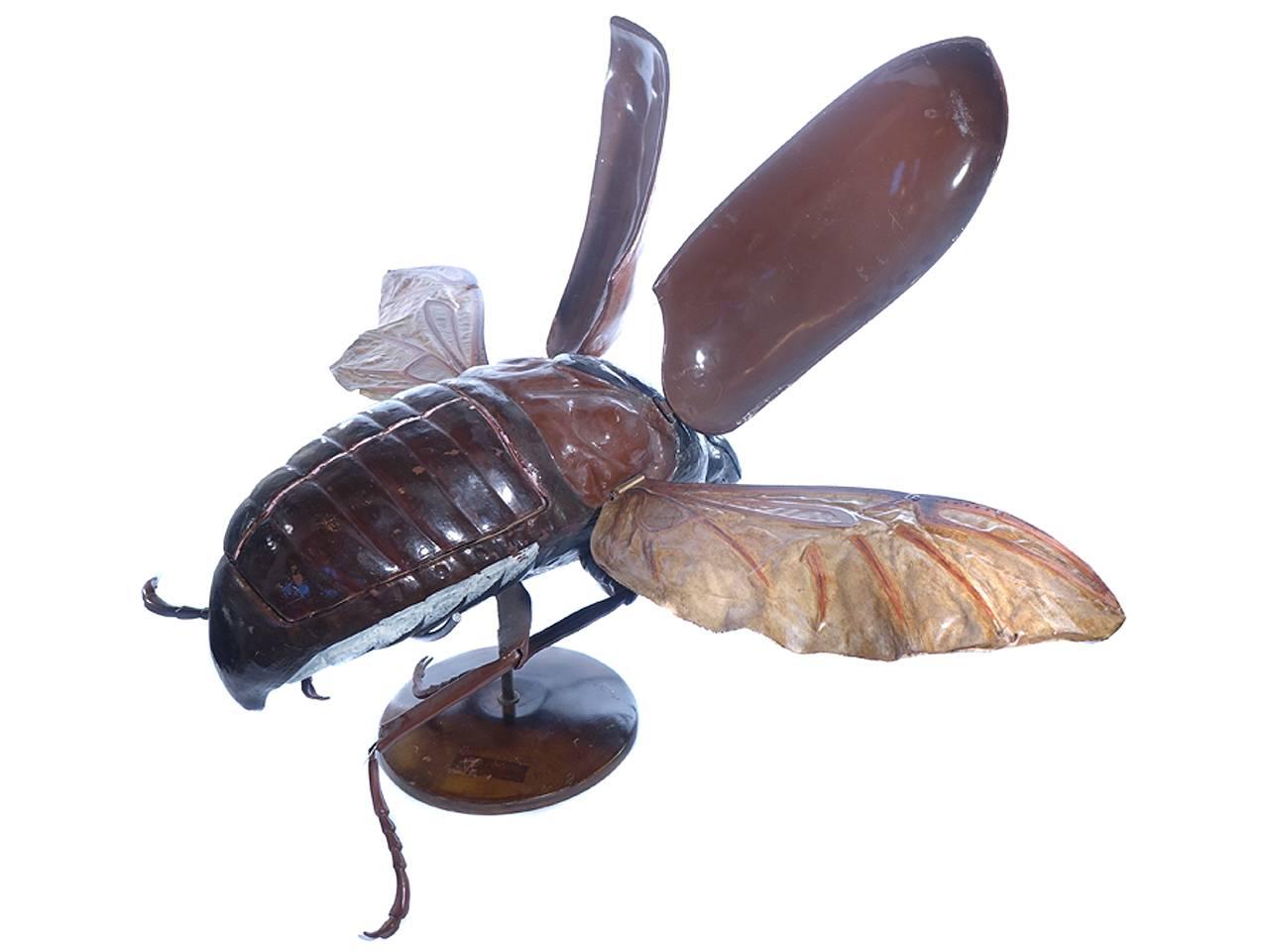 Industrial Large Early Anatomical Model of a Flying Beetle