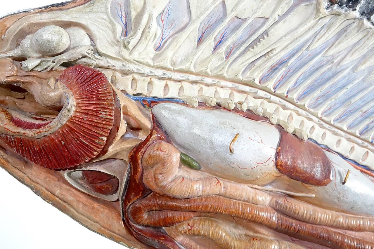 paper mache fish for sale
