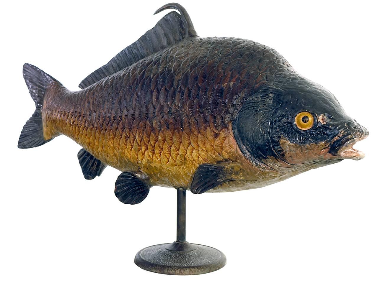 paper mache fish sculpture