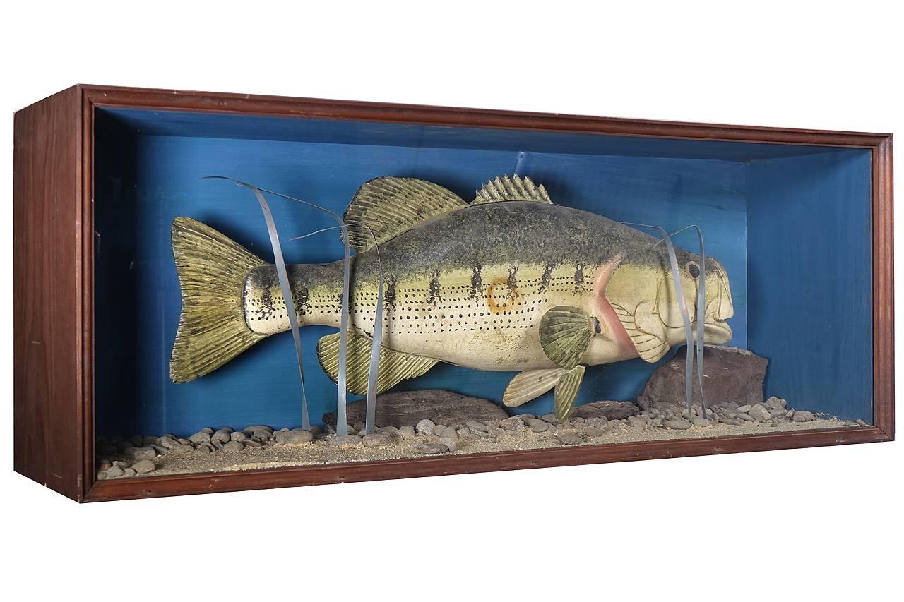 Hand Carver Folk Art Fish in Glass Display Case