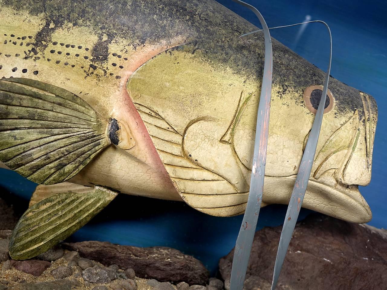 I believe this is a large Mouth Bass but could be wrong. Its a well done life sized depiction that is fully carved, painted and set up as a diorama. The plants are painted copper and the fish is wood. From the age and patina of the paint I am