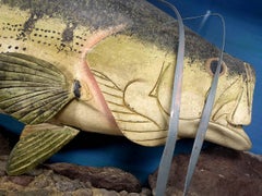 Hand Carver Folk Art Fish in Glass Display Case