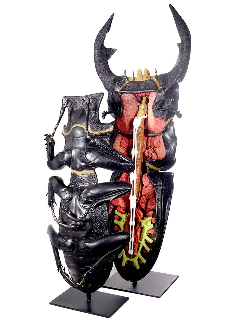 This almost 4 foot tall striking model of a Male Asian Stag Beetle... Dorcus Formosanus... is amazingly accurate. This example was hand made by Lorenzo Possenti. In Italy he is considered a 