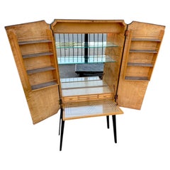 Argentinischer Barschrank aus der Mitte des Jahrhunderts von Englander & Bonta, Buenos Aires, 1950er Jahre
