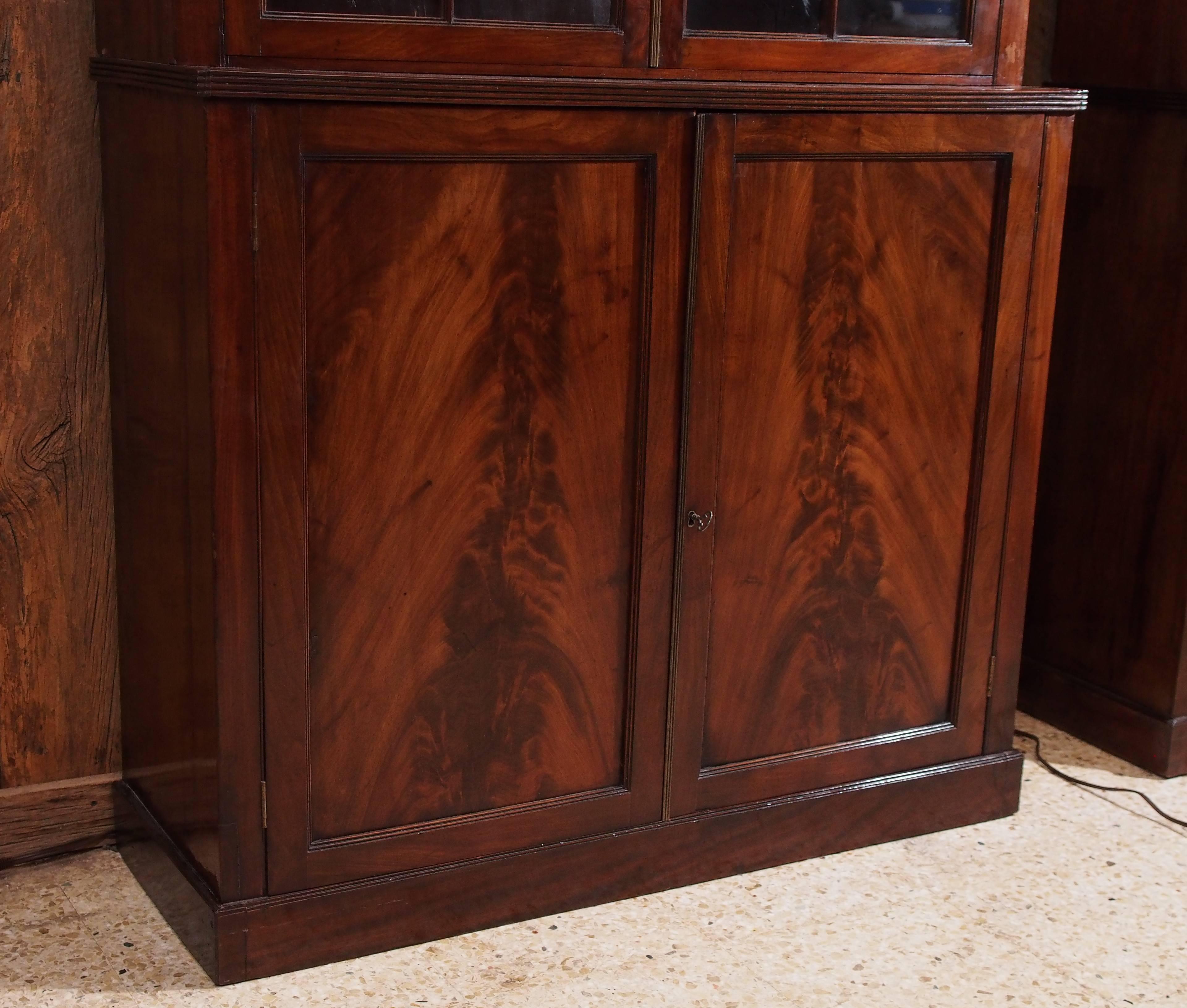 La beauté du bois de coromandel de cette armoire est exceptionnelle.