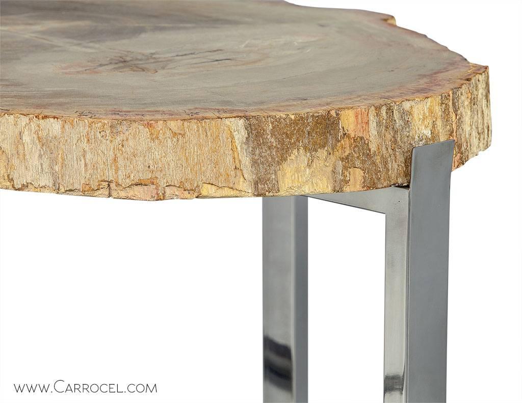 Asian Petrified Wood Accent Table