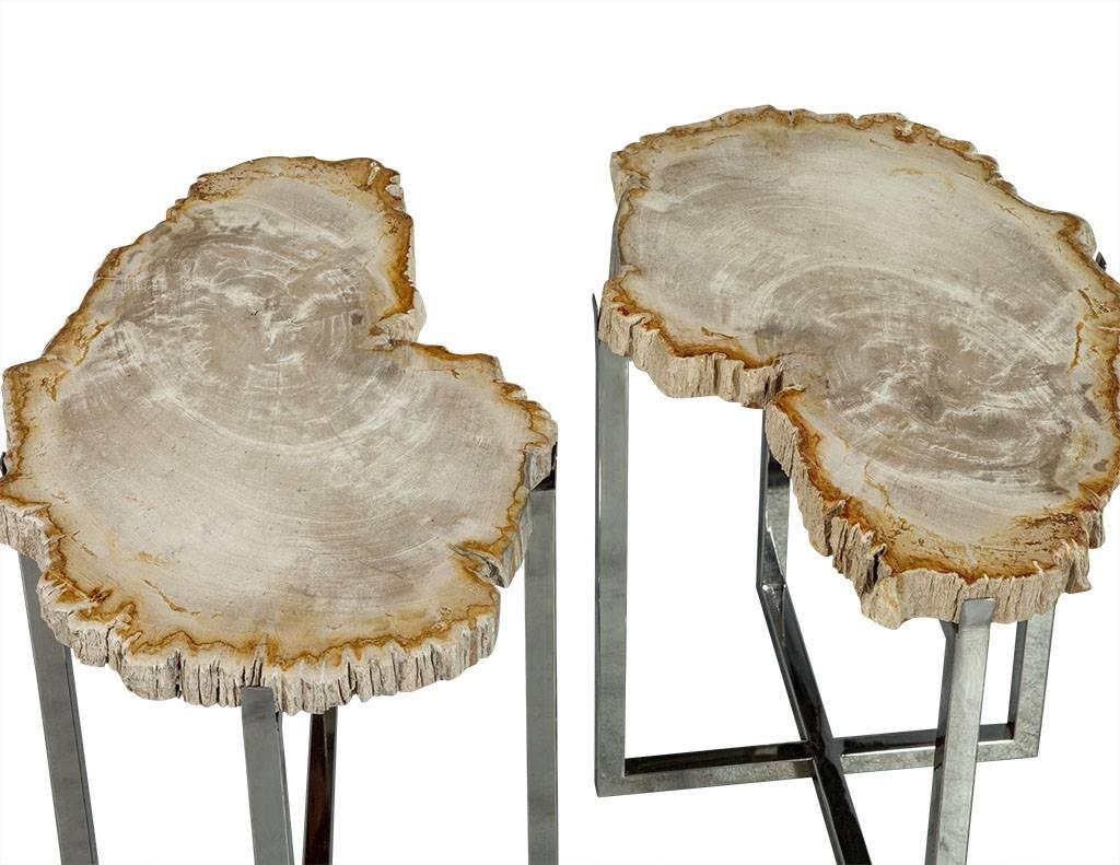 American Pair of Petrified Wood Accent Tables