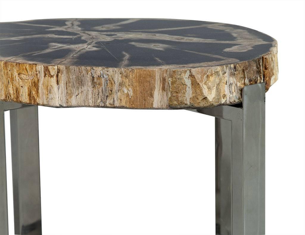 Modern Petrified Wood Accent Table