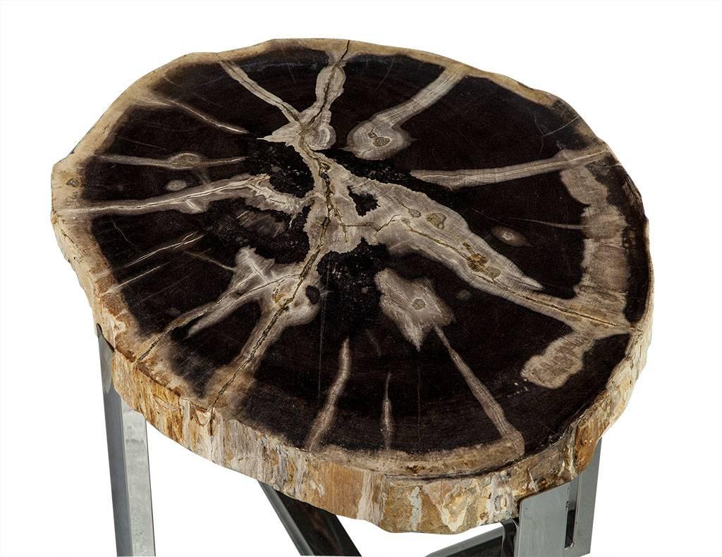 Petrified wood is a fossil that forms when plant material is buried, protected from oxygen and organisms, and then introduced to rich sediment in ground water turning the plant material into stone through a process called permineralization. These