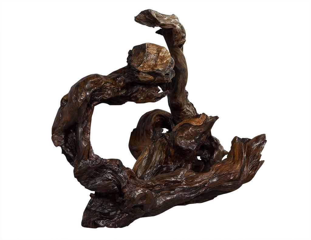 American Large Modern Rootwood Sculpture