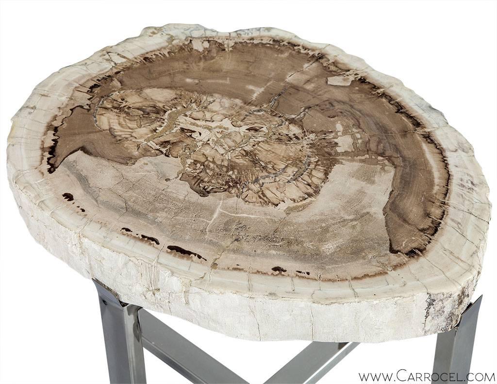 Modern Petrified Wood Accent Table
