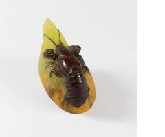 "Langouste" Pâte de Verre Paperweight by Walter and Bergé.
