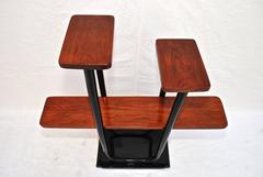 French Art Deco etagere ( shelf ) with rose wood