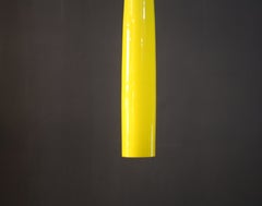 Alessandro Pianon colored glass pendant lamp, produced by Vistosi in the 1960s.