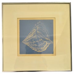 Framed Realism Blue & Beige Seashell Pencil Painting, Fine Art Brushed Chrome