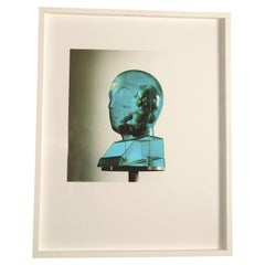 Œuvre « Blue Head » de 2010 – Photographie d'art de Dudley Reed