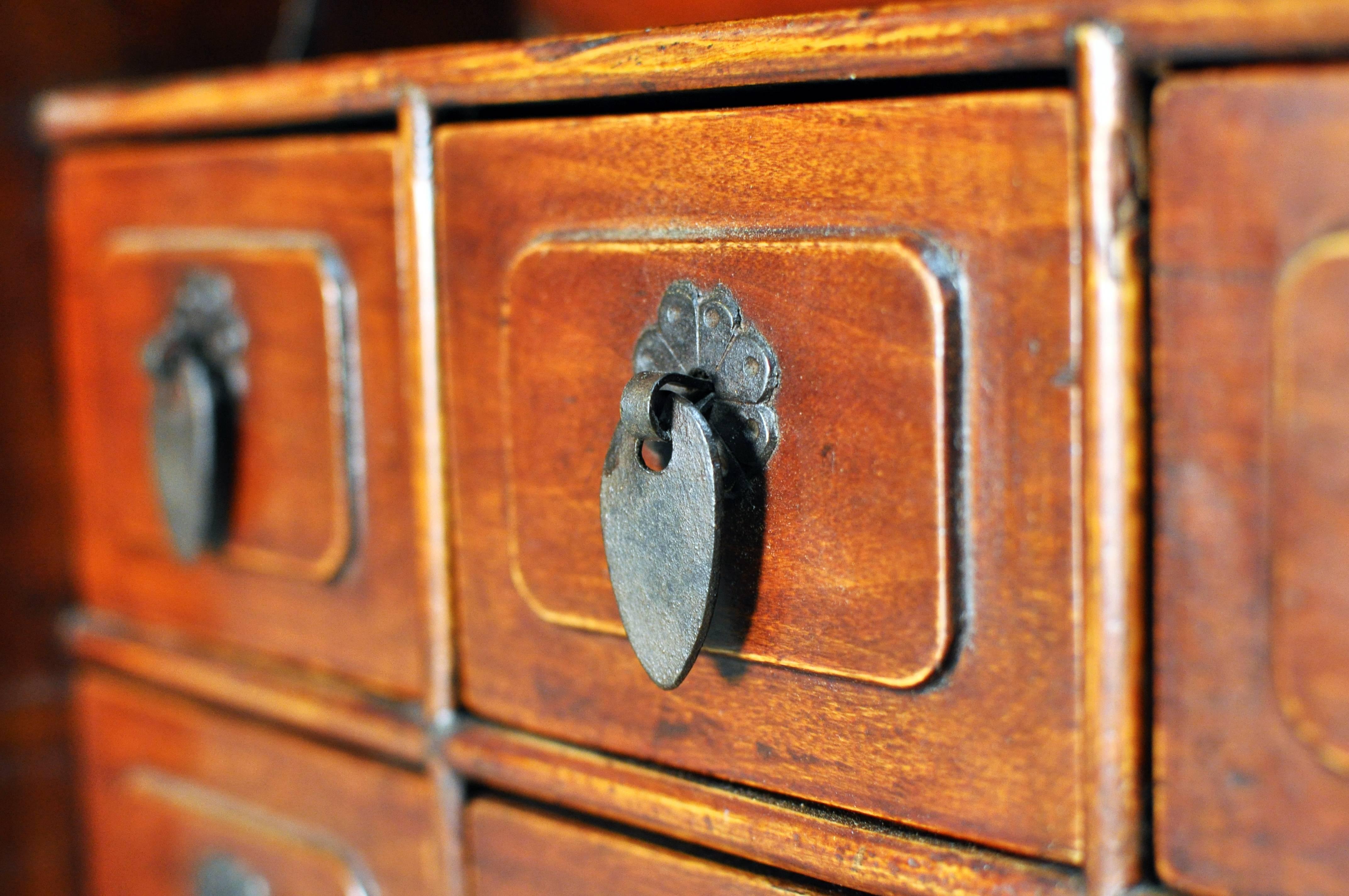 19th Century Chinese Tabletop Apothecary Chest