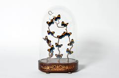 Decorative Cloche with Butterfly Display