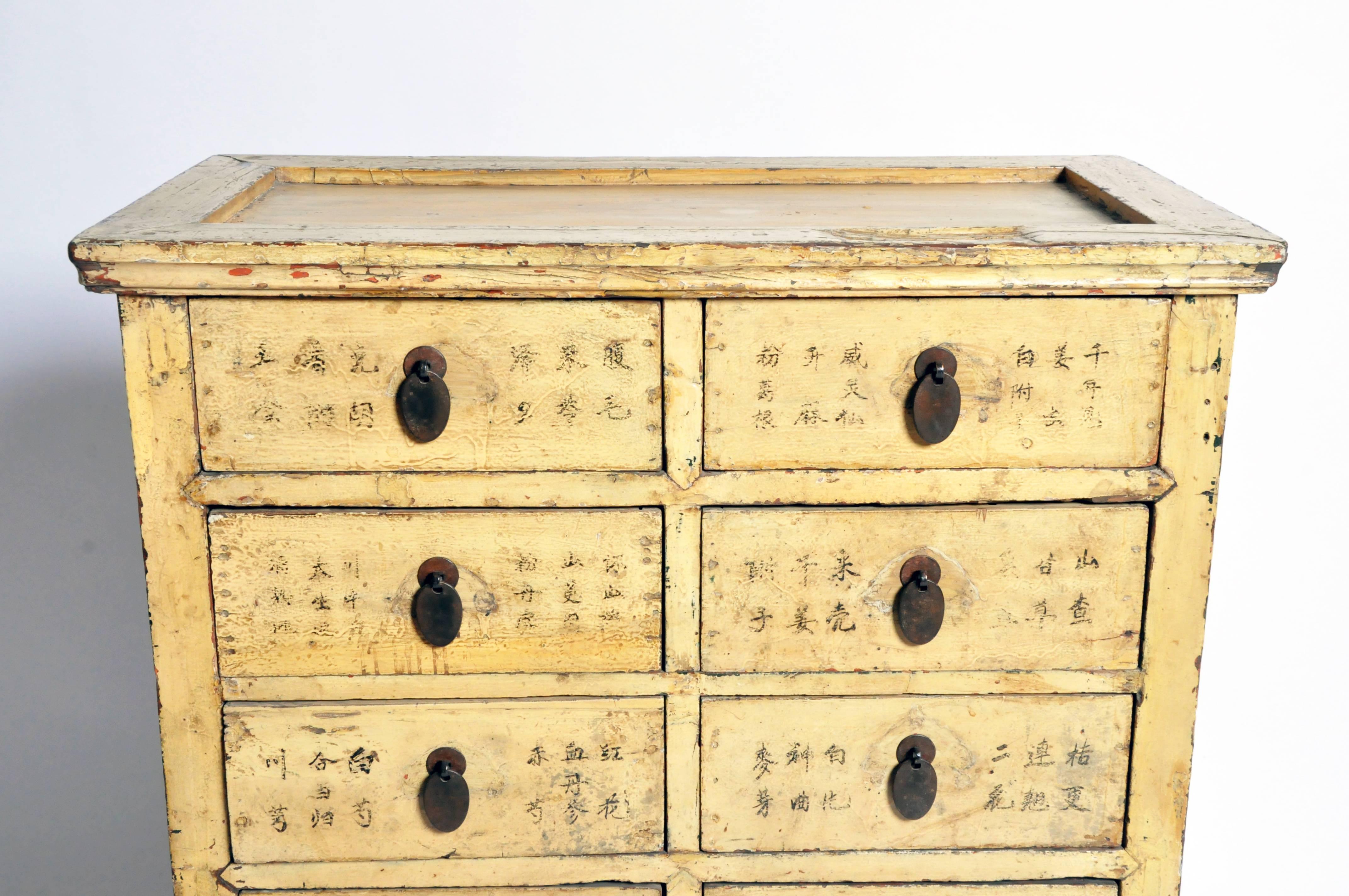 19th Century Medicine Chest with 12 Drawers