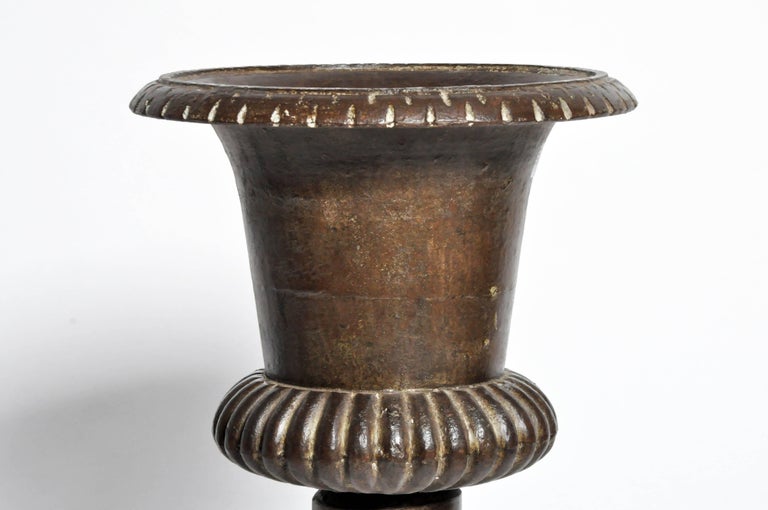 Cast Iron Flower Pot at 1stDibs