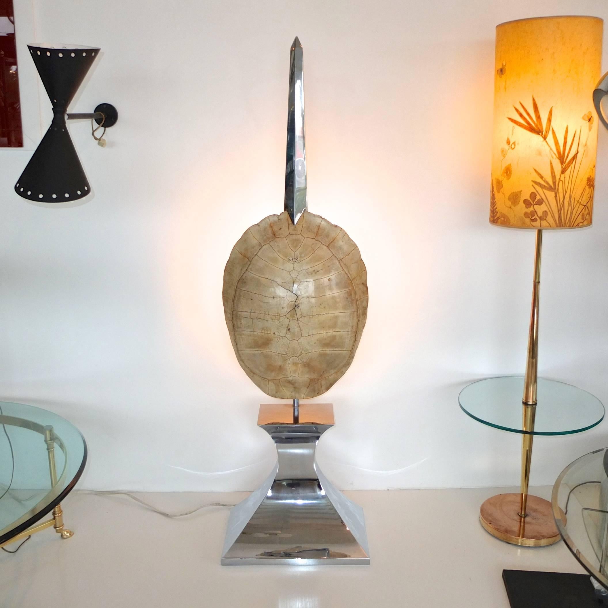 Sublimely beautiful and armorial floor lamp with a lacquered albino turtle carapace pierced by a mirror polished stainless steel sword and mounted on a sculptural mirror polished stainless steel pedestal base.

Would look fantastic standing in