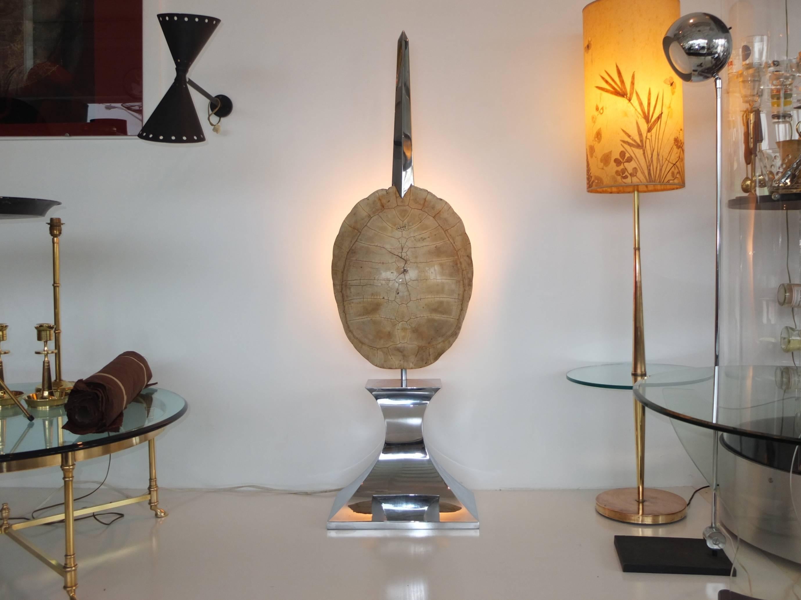 Mid-Century Modern Exotic & Sculptural Floor Lamp with Tortoise Shell Reflector