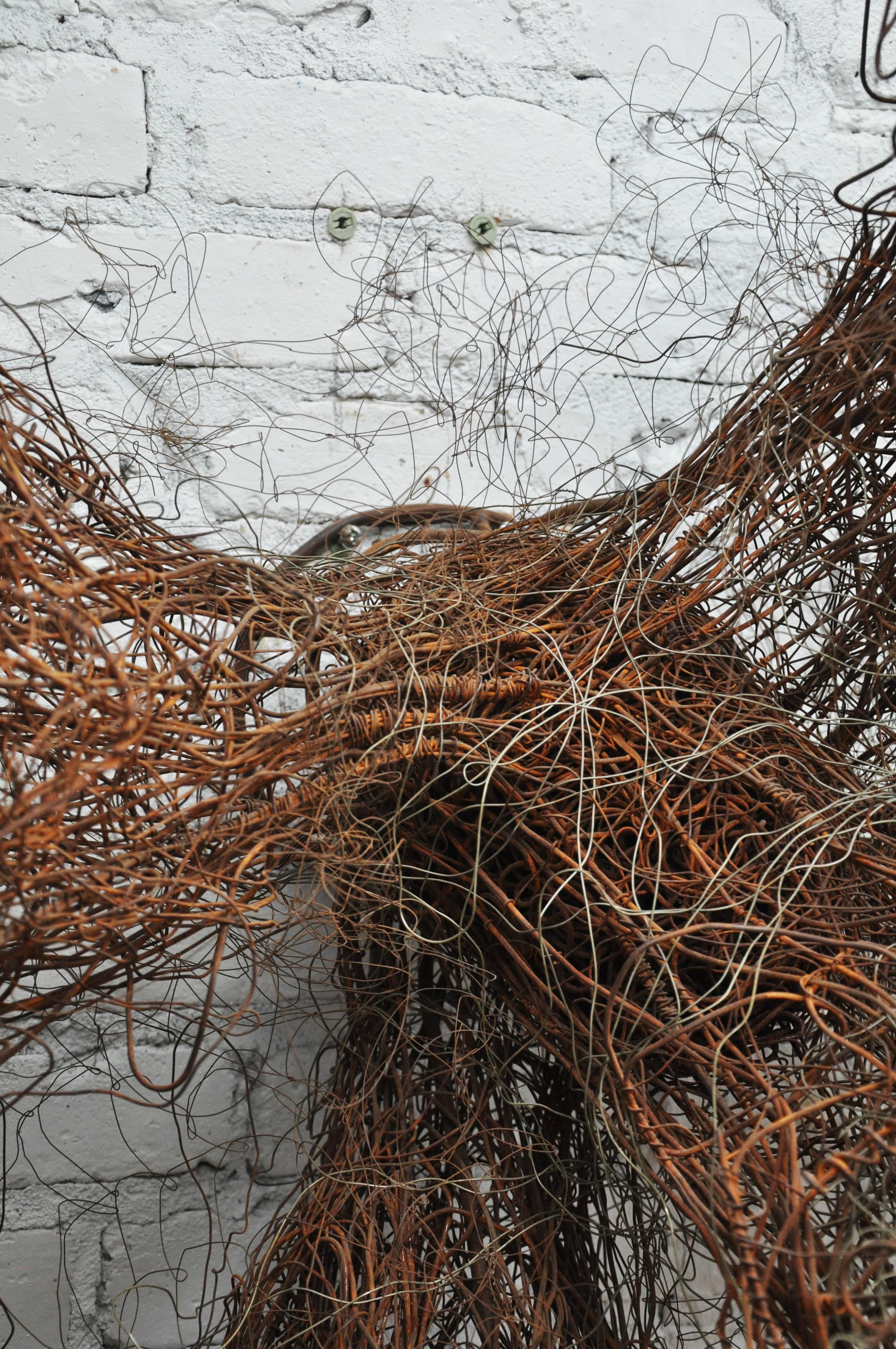 American 21st Century Wire Wall Sculpture by Lucy Slivinski