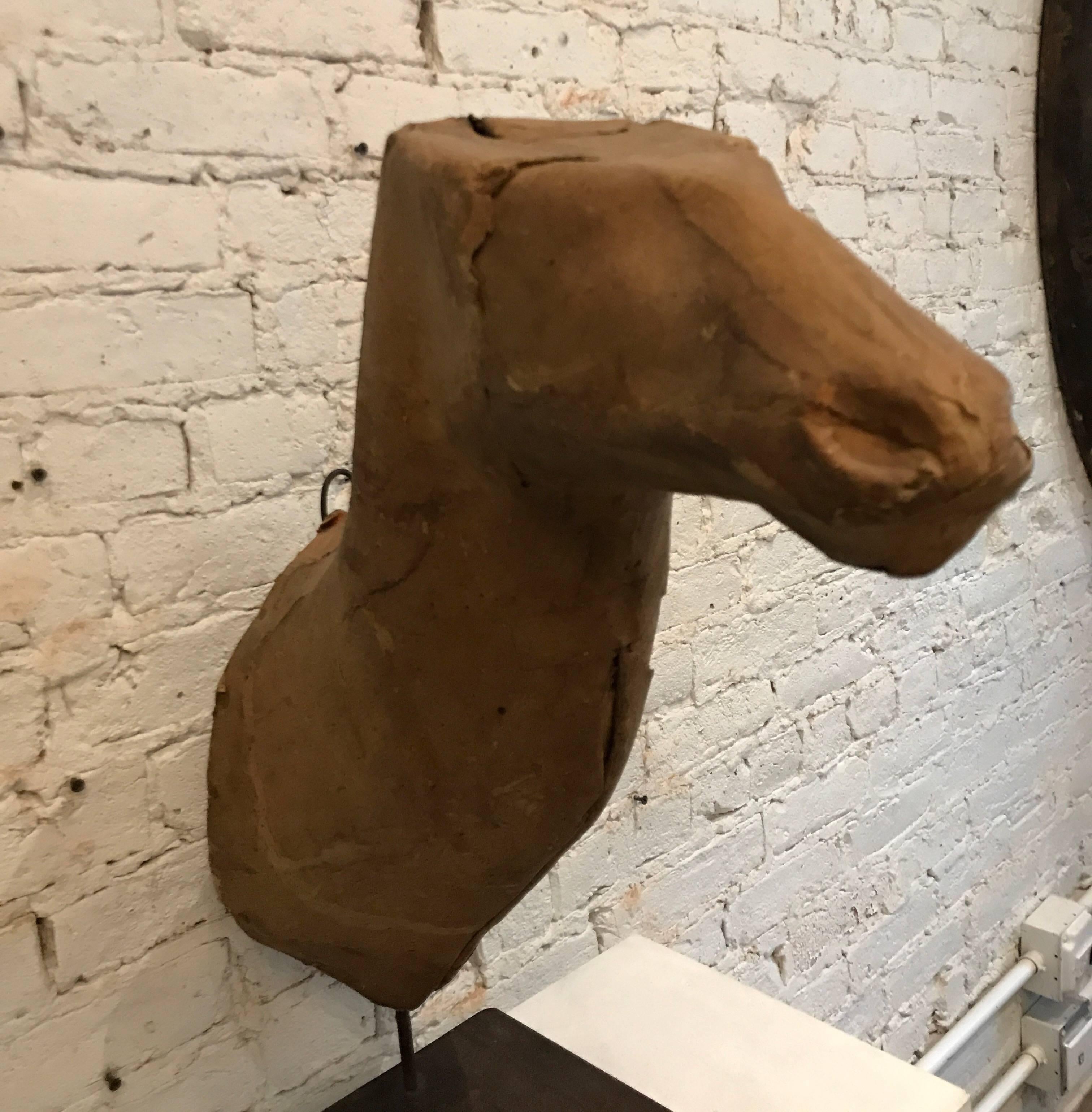 Metal Early 20th Century Taxidermy Mold Horse Head For Sale