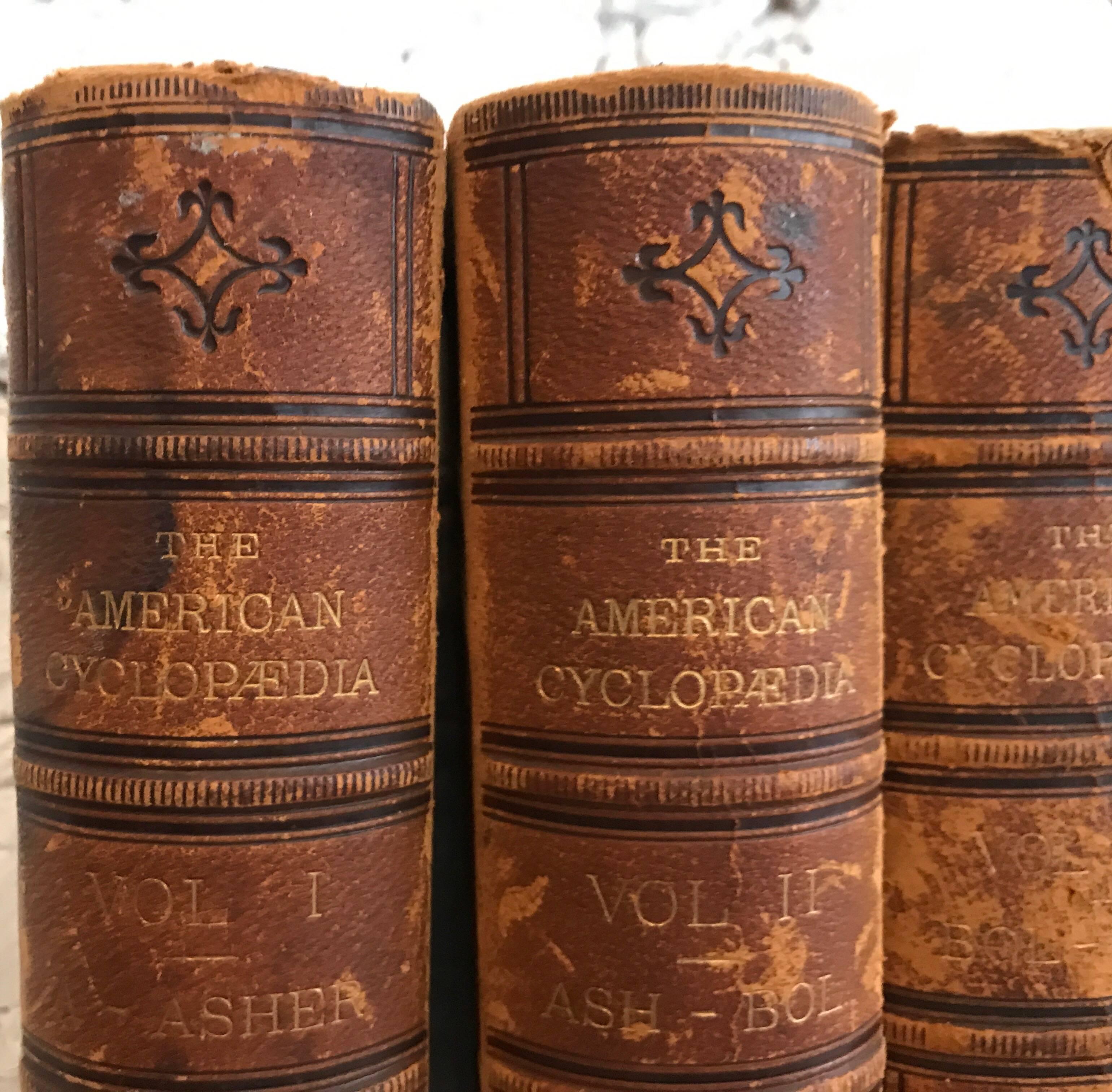 American 20th Century Collection of Nine Leather Bound Encyclopedia's