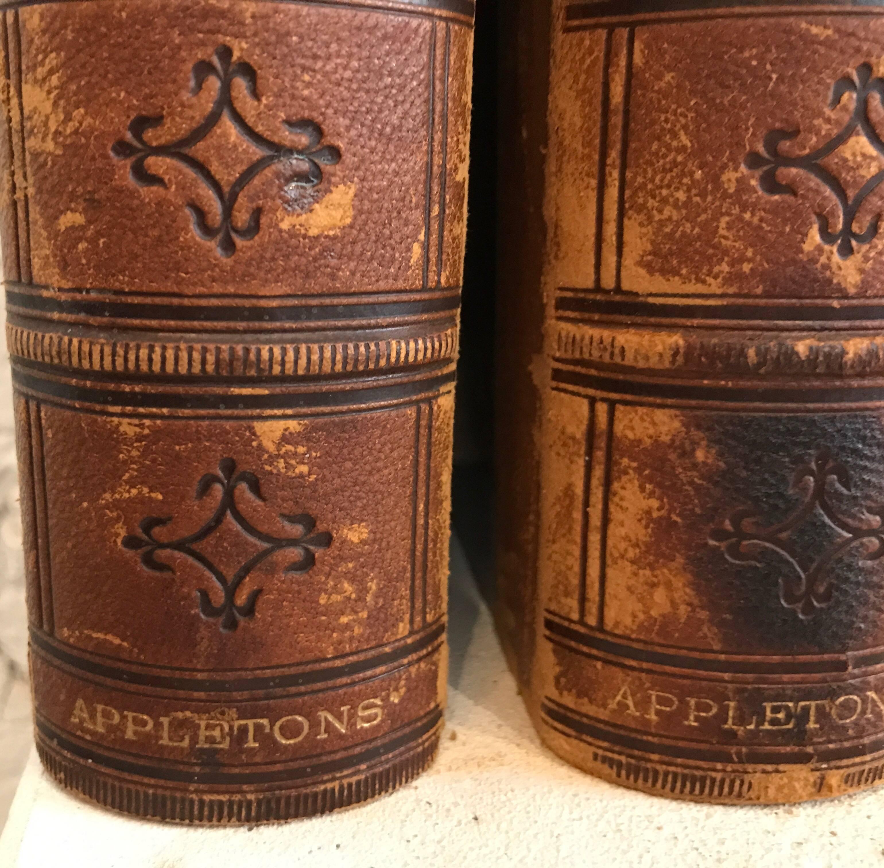 20th Century Collection of Nine Leather Bound Encyclopedia's In Good Condition In Chicago, IL