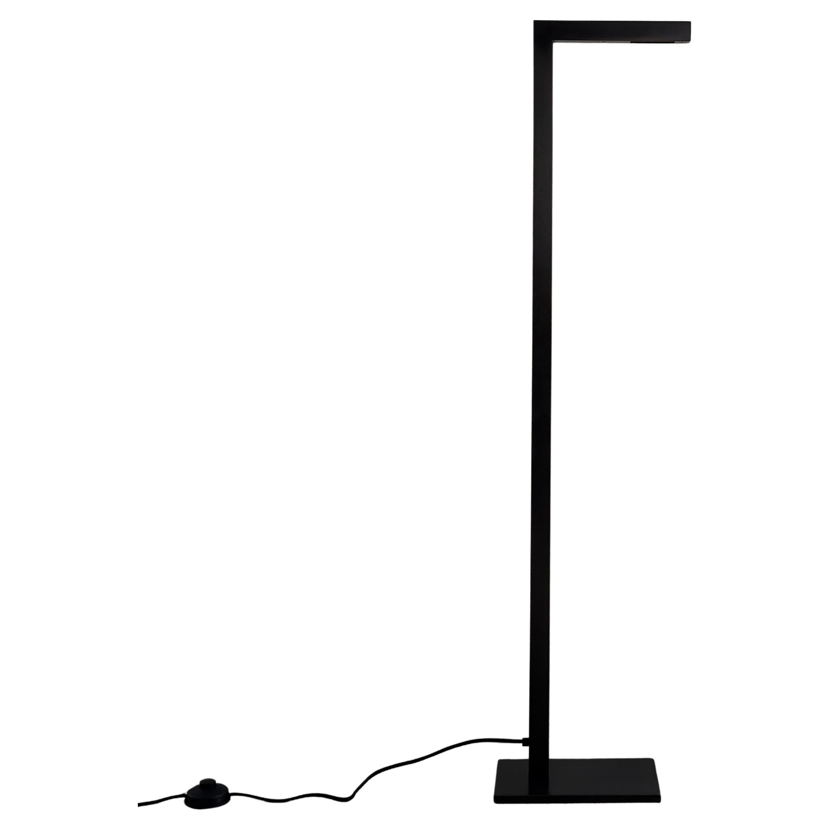 Fresh Pond Burnished Brass Floor Lamp from The Collection by Michael Del Piero For Sale