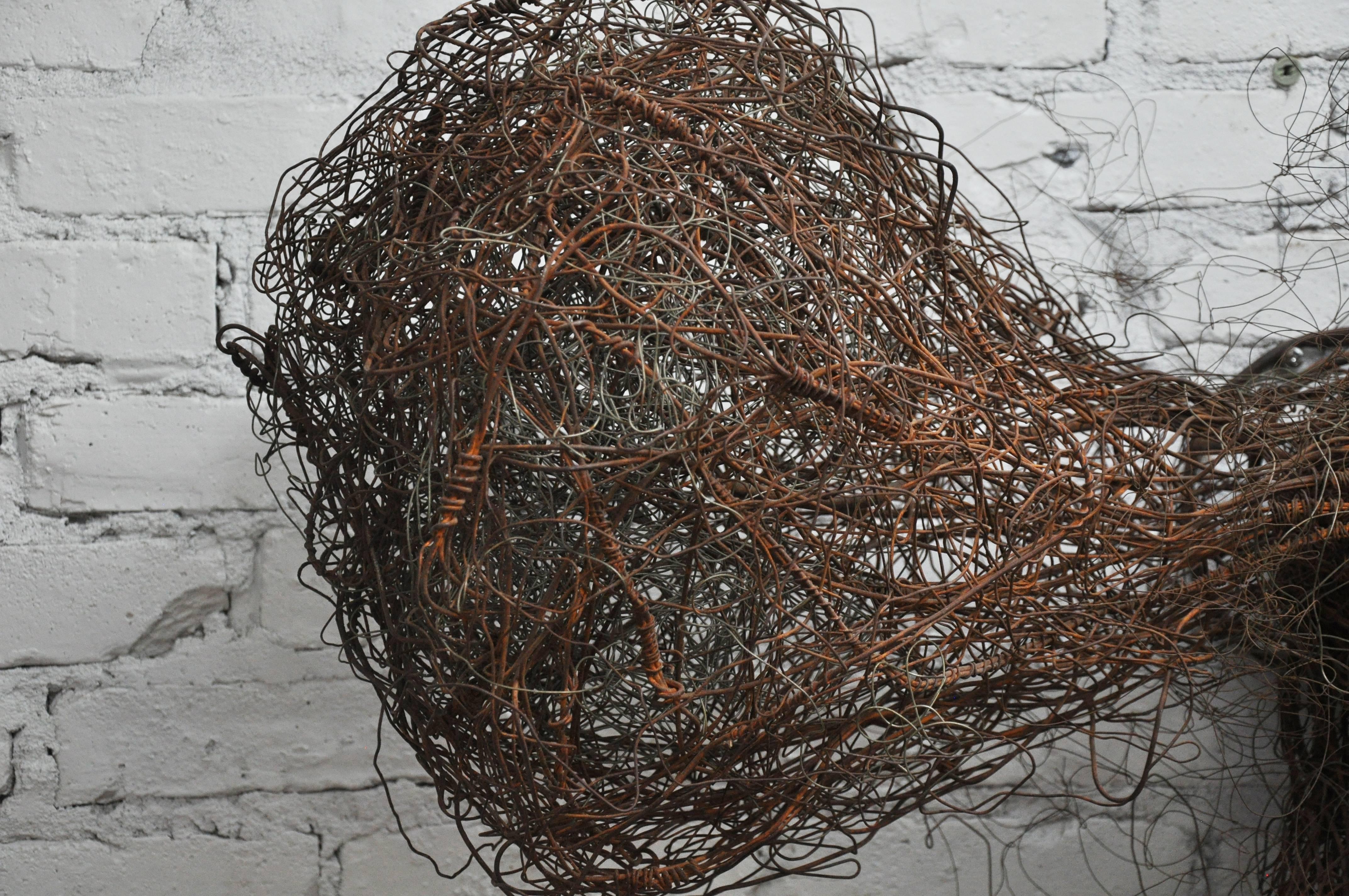 Contemporary 21st Century Wire Wall Sculpture by Lucy Slivinski