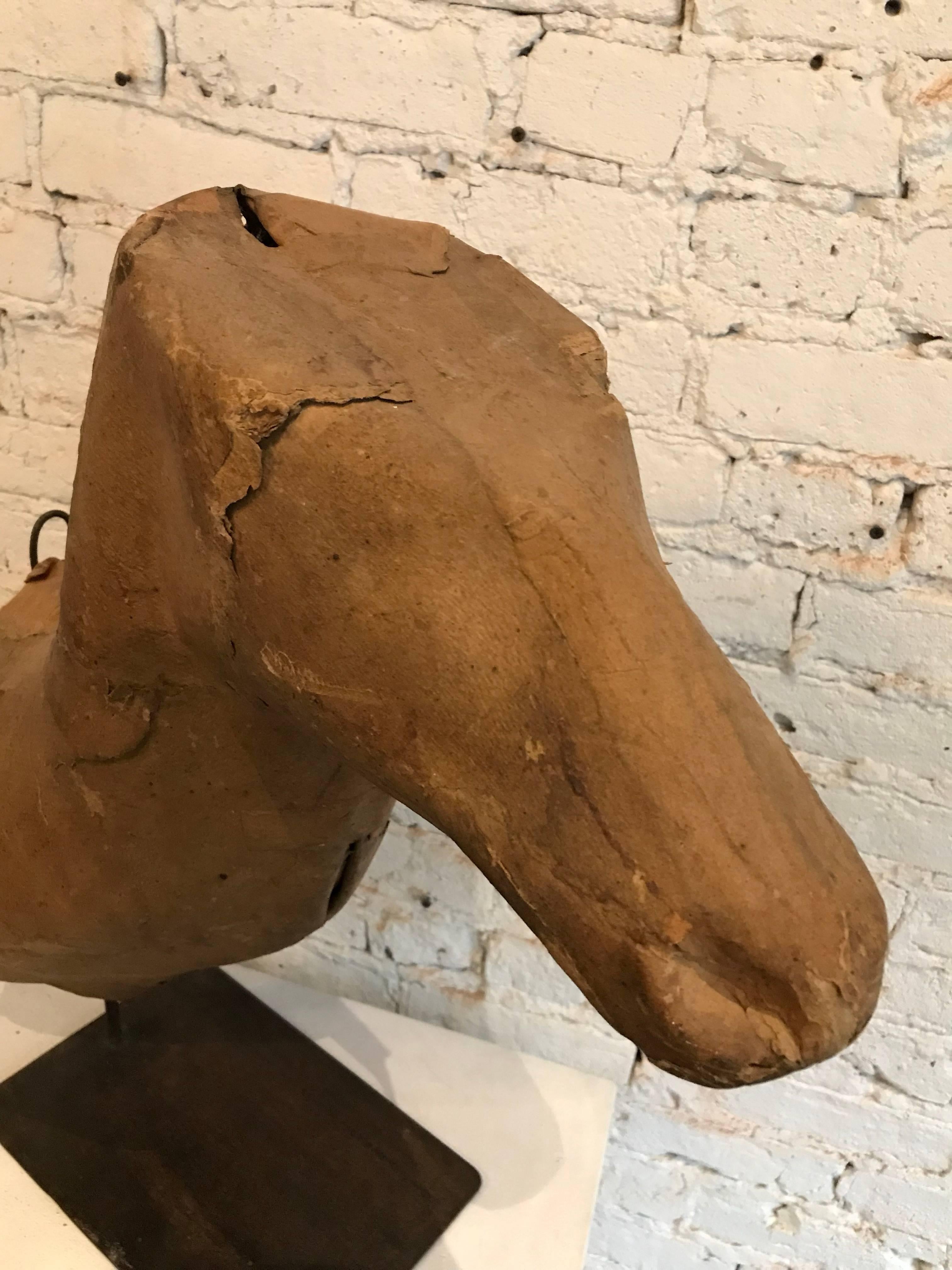 Early 20th Century Taxidermy Mold Horse Head For Sale 1