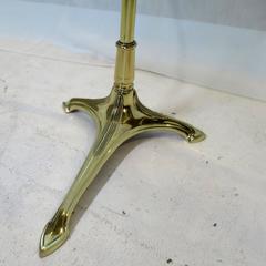 1900 French Bronze and Glass Wall Shelves Console Attributed to Maison Brot