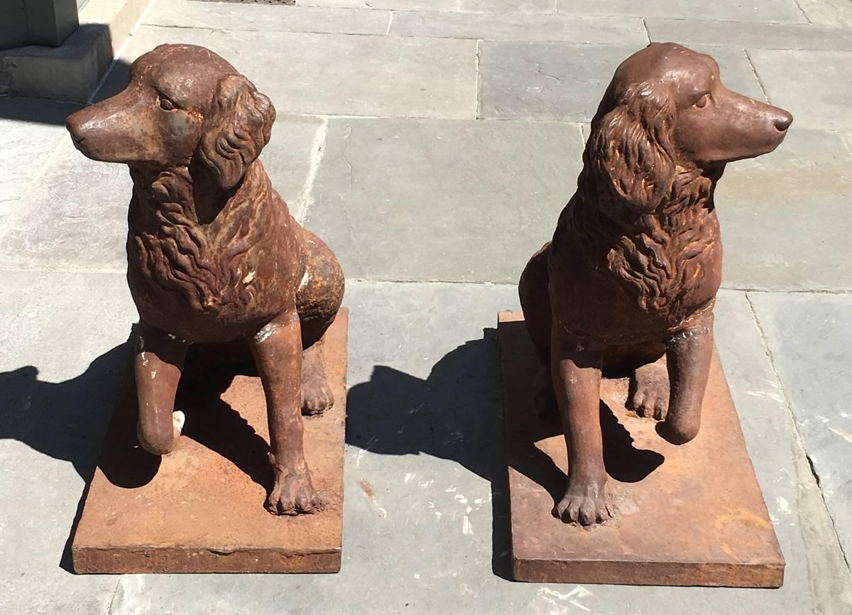 This true opposing pair of large iron garden statues were made in England in the mid-19th century, circa 1860, and showcase a pair of wavy haired dogs in a regal posture. The statues originally came from an estate located in France.