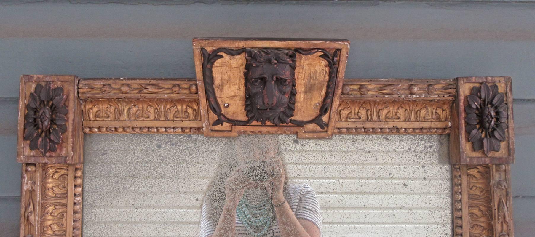 lion head mirror