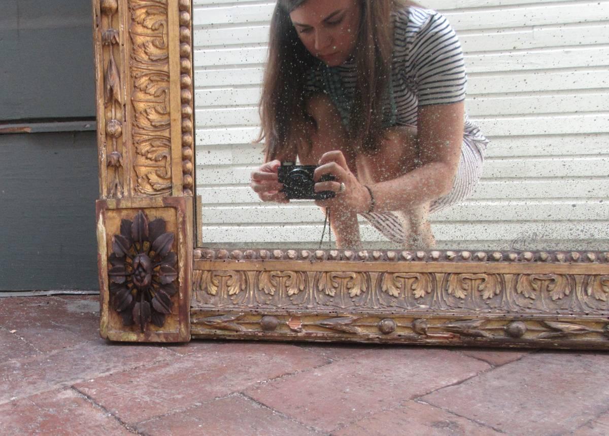 Late 18th C Roman Gilt Mirror with Lion Head In Excellent Condition In Charleston, SC