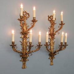 Tall 20th Century Italian Neoclassical Brass Wheat & Ribbon Sconces, 4 Available