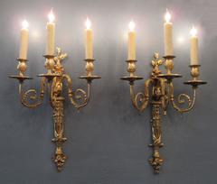 Pair of Early 19th Century French Regence Bronze Dore Sconces with Grapes