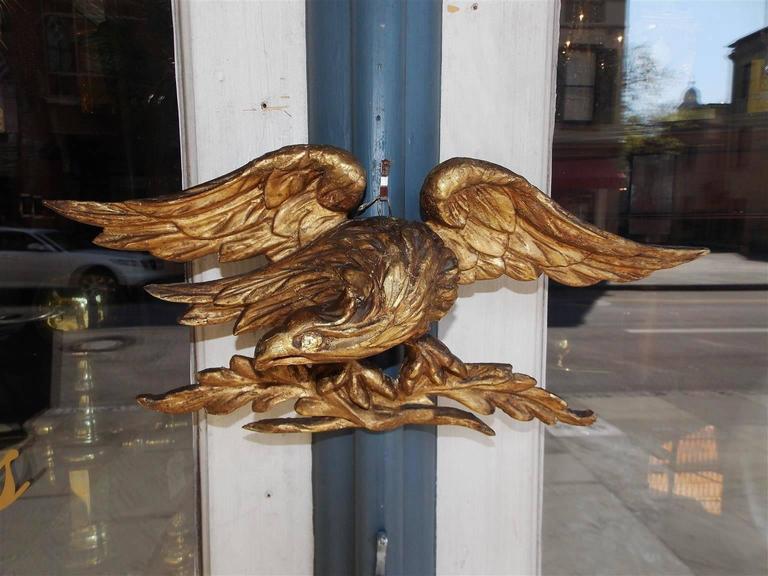 American gilt carved wood and gesso Eagle with extended wings perched on decorative acanthus floral motif, Early 19th century.
 