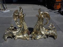 Pair of French Brass Parrot and Scrolled Foilage Chenets, Circa 1810
