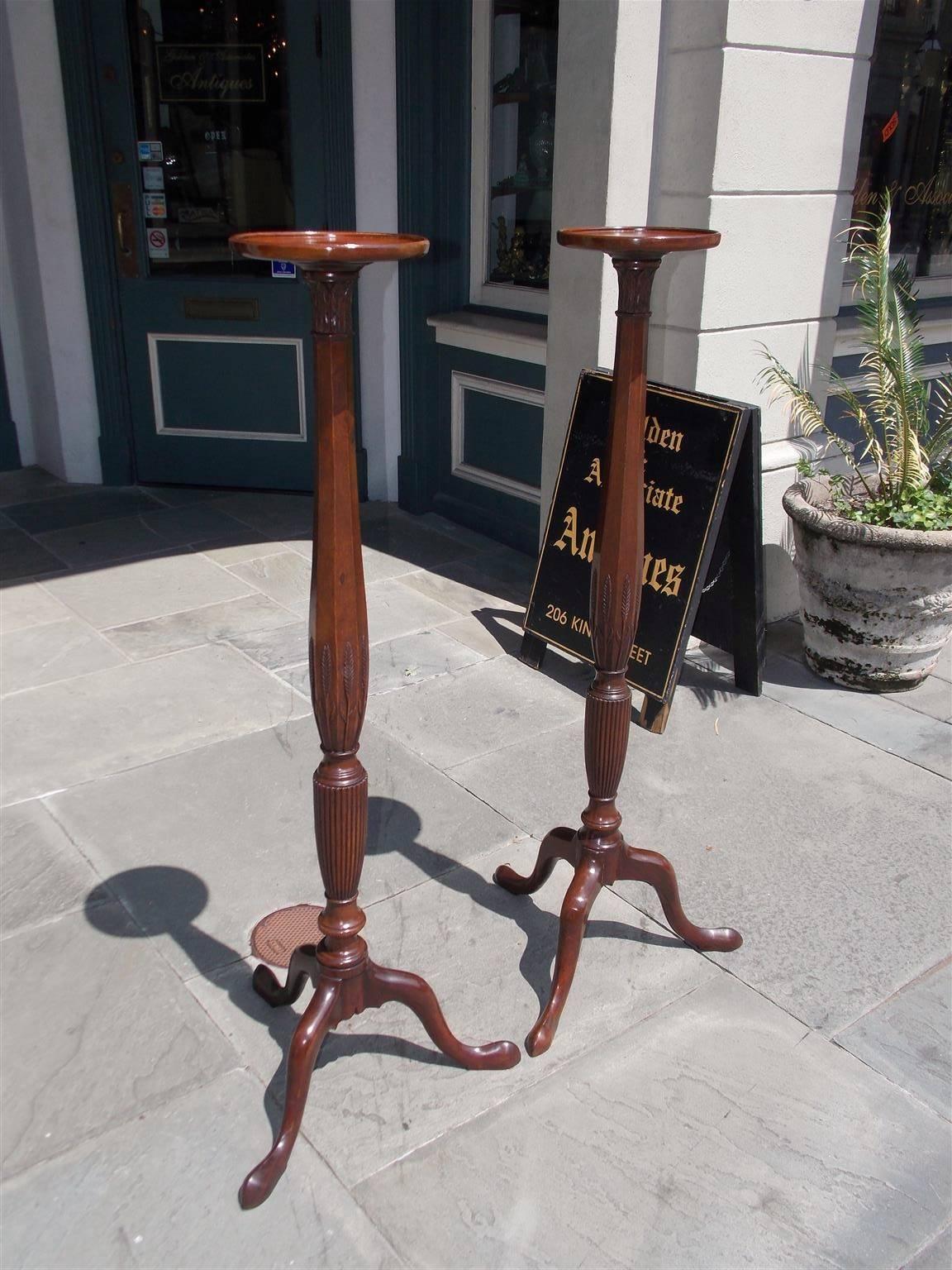 Pair of English Chippendale mahogany torchiers with circular molded edge dish tops, decorative carved acanthus and wheat motif, reeded bulbous ringed vase columns and terminating on the original tripod legs with slipper feet. Torchiers retain the