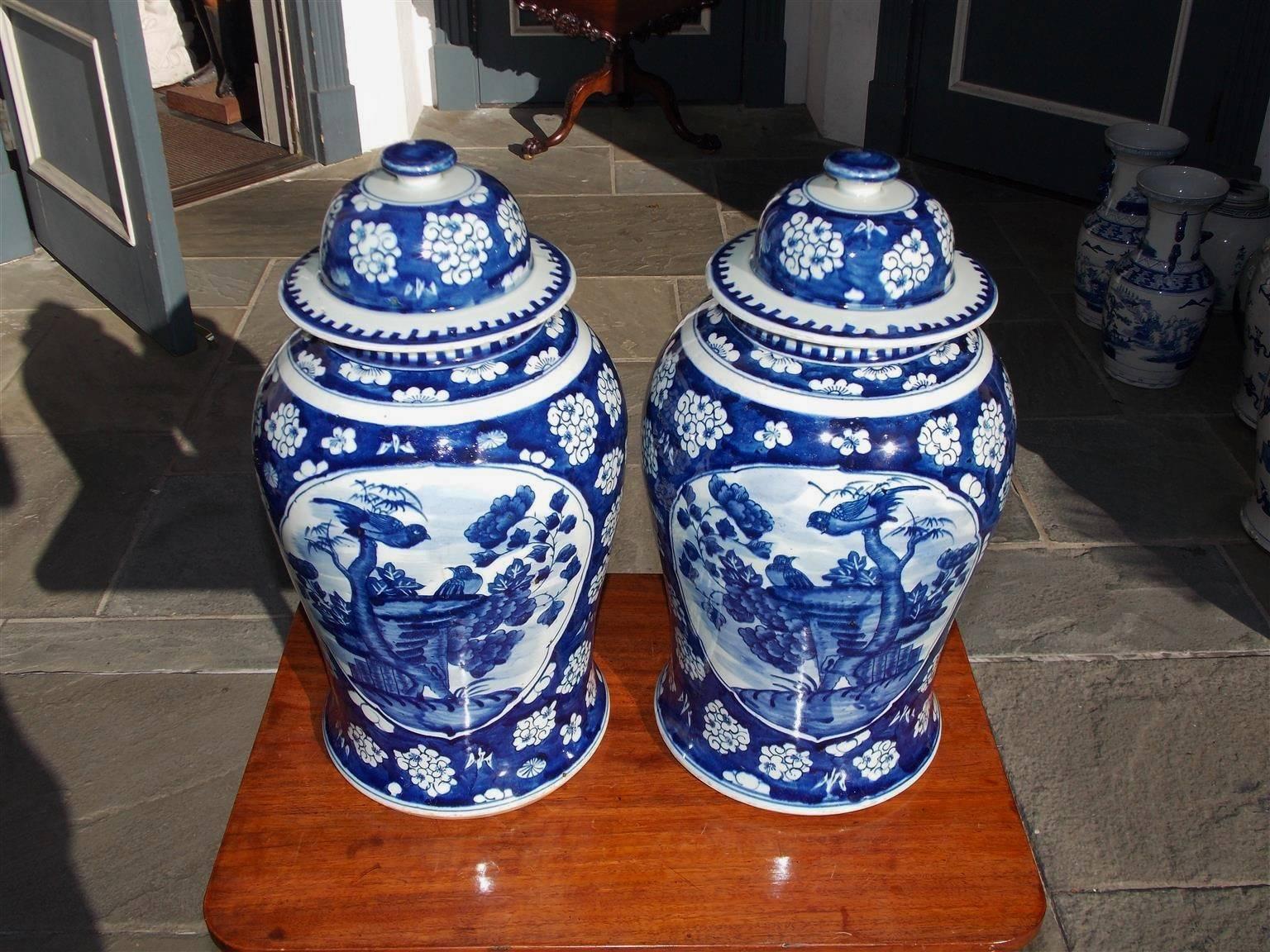 Pair of Chinese porcelain glazed blue and white temple jars with vibrantly hand-painted oval scenes of birds perched in trees, exterior painted borders, and decorative flowers. Lids are removable and jars were used to store perishable goods, 20th