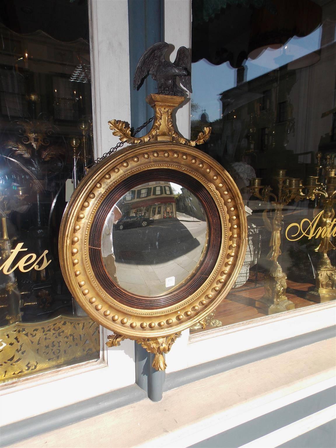 English gilt carved wood convex mirror with a perched ebonized eagle over flanking acanthus motif, interior circular spheres, bead work, ebonized reeded ring, and terminating with a acanthus floral motif. Mirror retains the original glass & wood