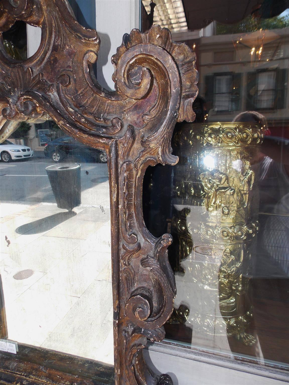 Mid-18th Century Italian Gilt Shell Cartouche Acanthus Mirror. Circa 1730 For Sale