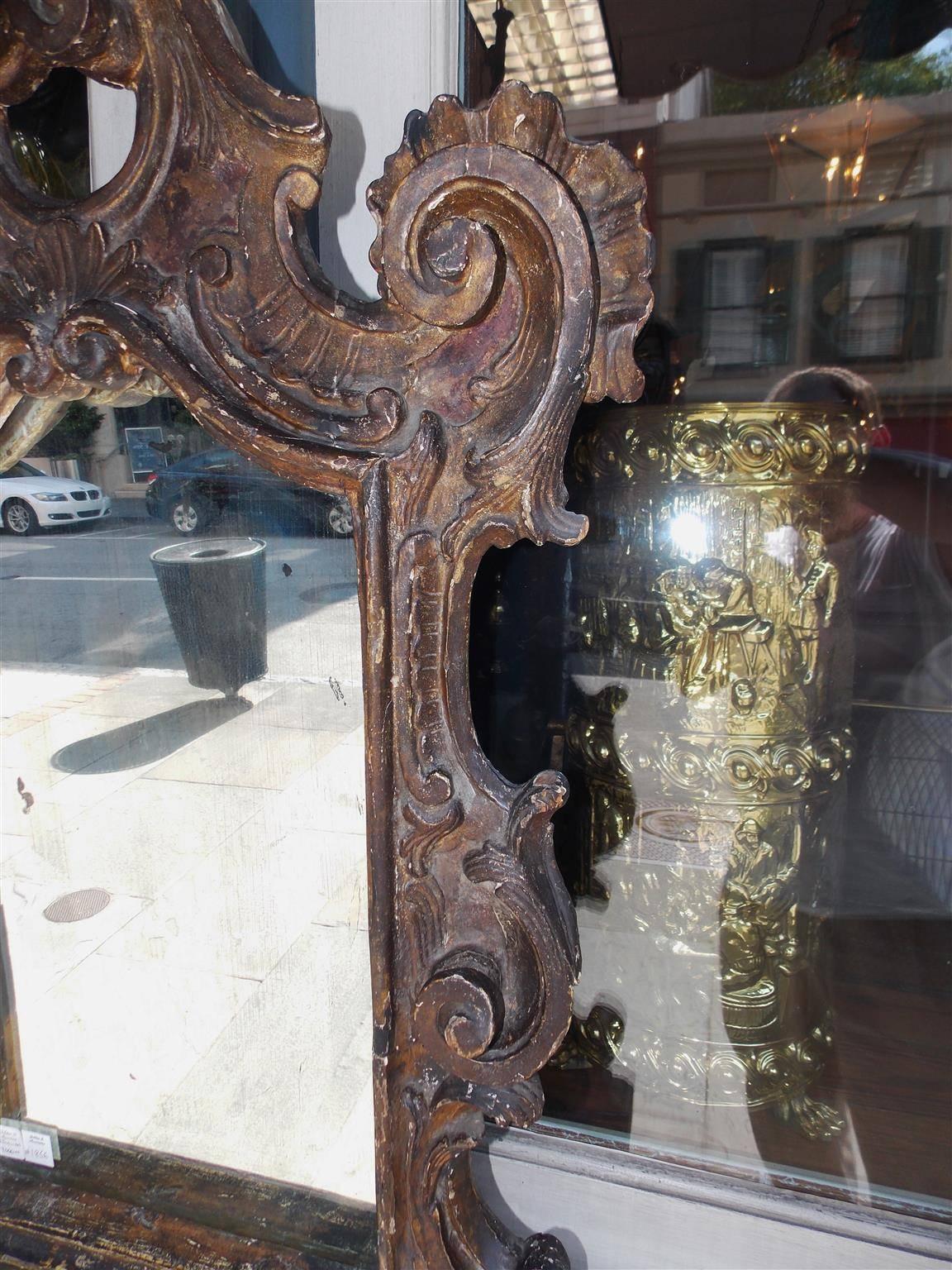 Milieu du XVIIIe siècle Miroir italien à cartouche d'acanthe en coquillage doré. Datant d'environ 1730 en vente