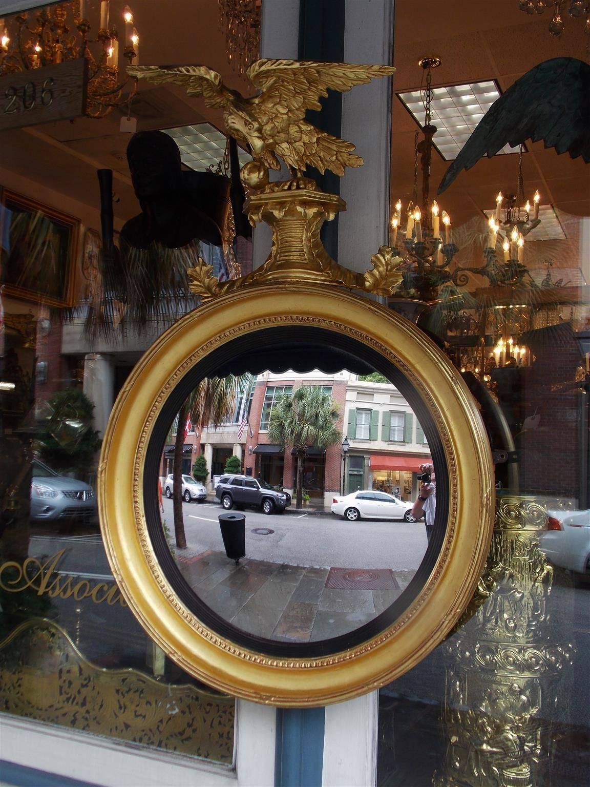 American Federal gilt convex mirror with eagle grasping ball with claw perched to flee on acanthus carved plinth, exterior reeded edge with ribbon and lambs tongue motif , and an interior ebonized reeded ring. The mirror retains the original glass