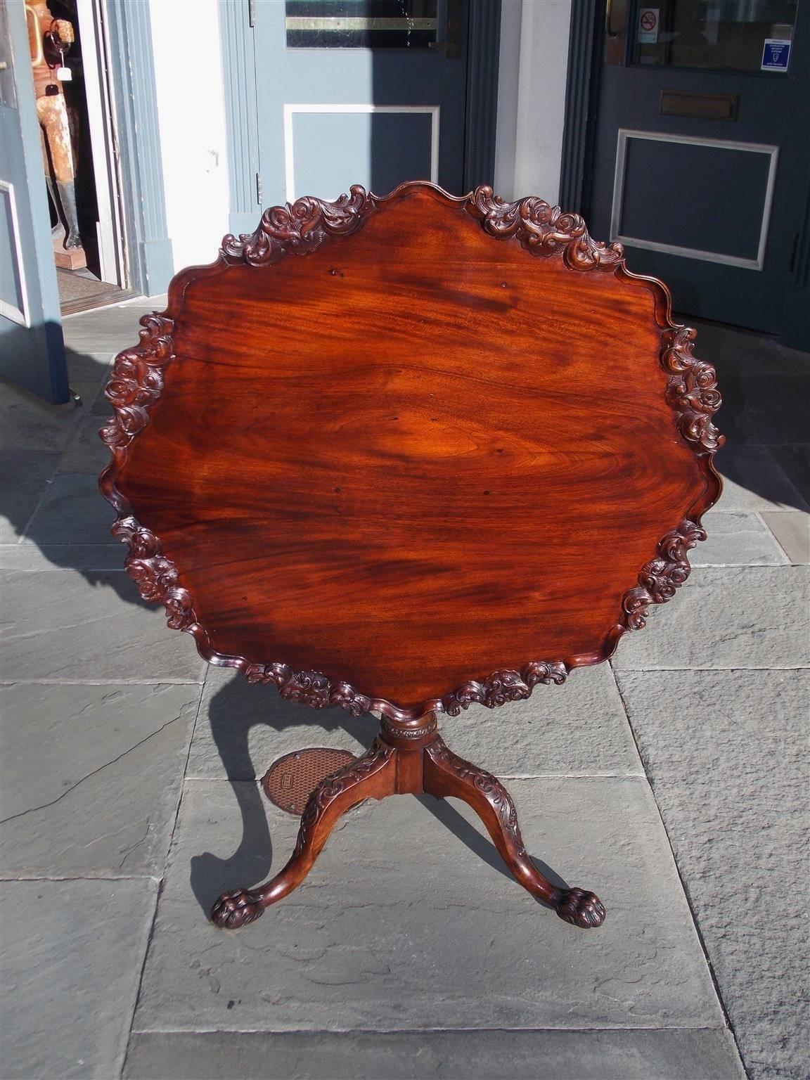 American Chippendale mahogany one board tilt-top tea table with a carved floral scalloped edge, turned bulbous spiral ringed pedestal, and terminating on a tripod base with floral acanthus carved knees resting on hairy paw feet. Table retains the