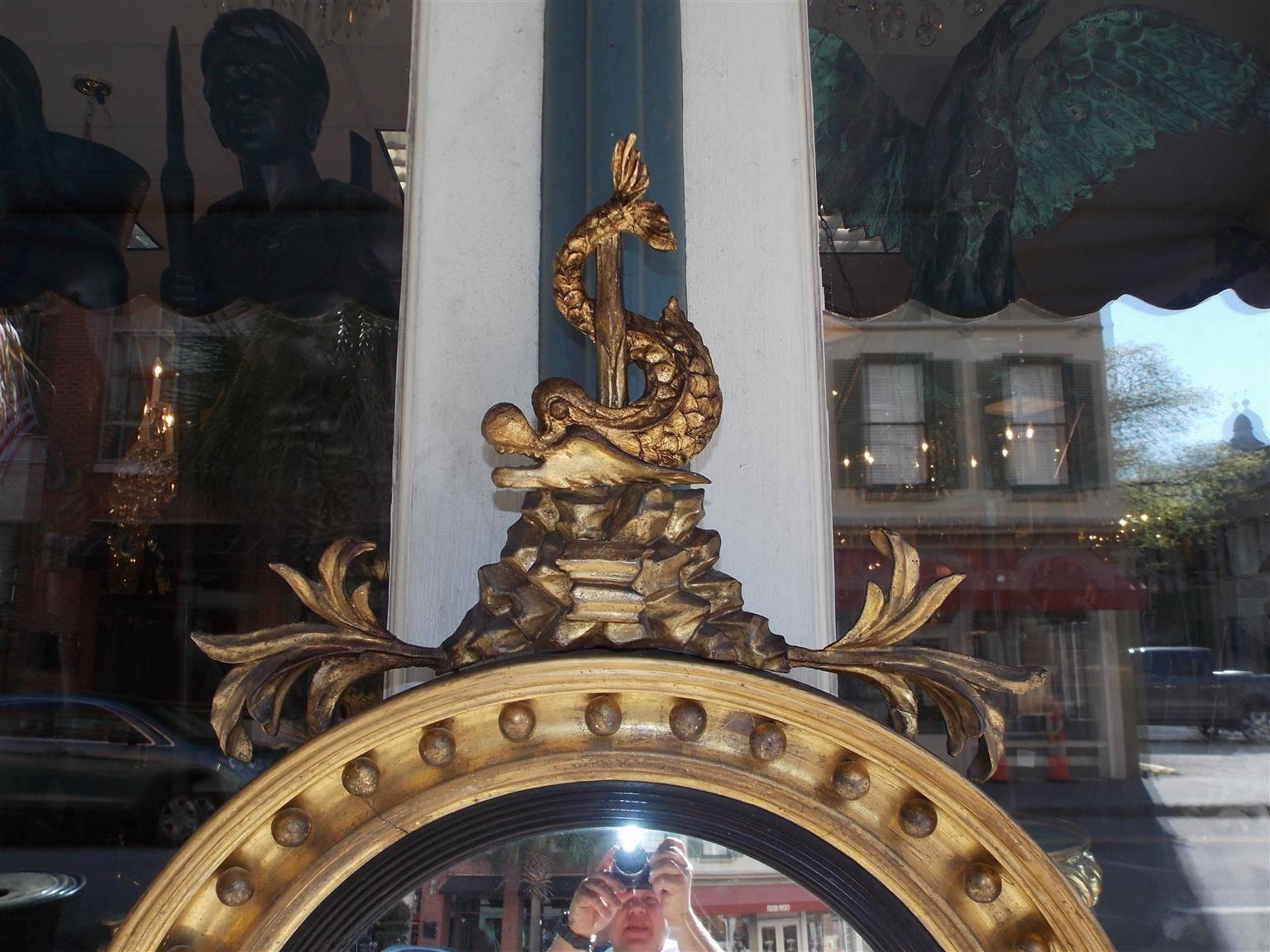 Amerikanischer vergoldeter und ebonisierter konvexer amerikanischer Federal-Spiegel mit Delphinblattmuster. Um 1800 im Zustand „Hervorragend“ im Angebot in Hollywood, SC